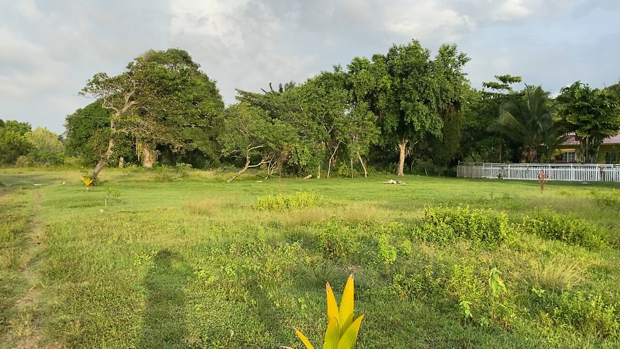 La Ceiba Honduras bungalow under construction