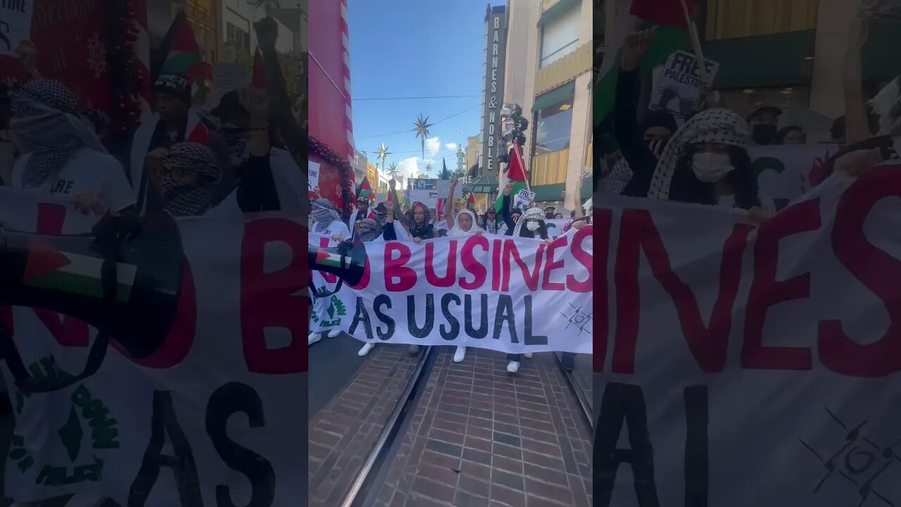 Palestine protest In Christmas center of Los Angeles