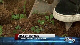 Day of service