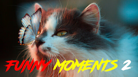 FUNNY MOMENTS 2 watch with pleasure