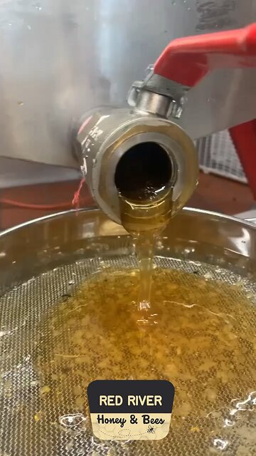 Fresh raw honey!