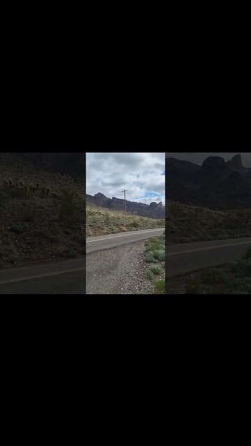 we have found Oatman AZ!