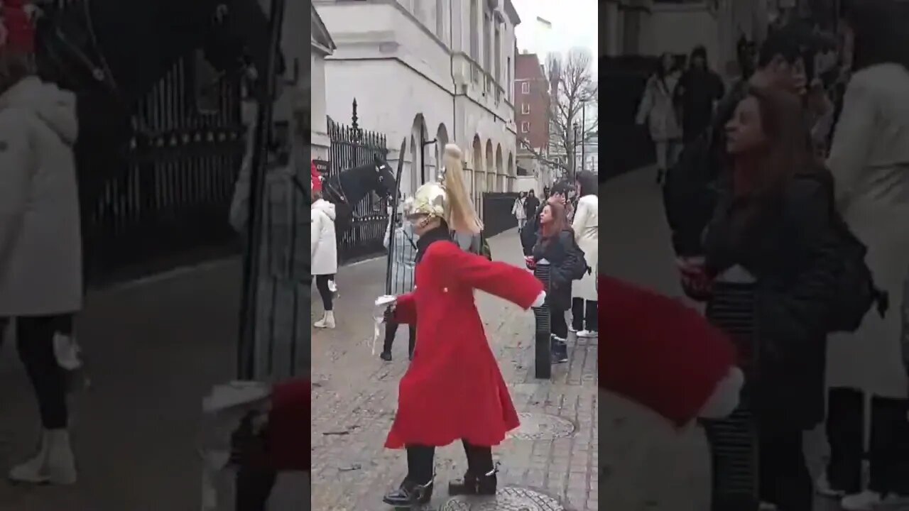 Make way for the female guard #horseguardsparade