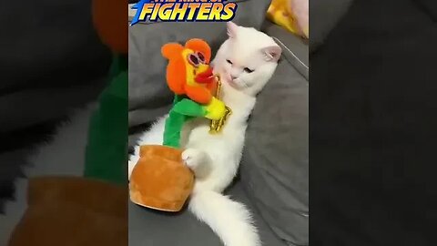 🕹🎮👑🔥 THE KING OF FIGHTERS ‘96 『ザ・キング・オブ・ファイターズ96』🐱🌙🎷 Arashi no Saxophone 2