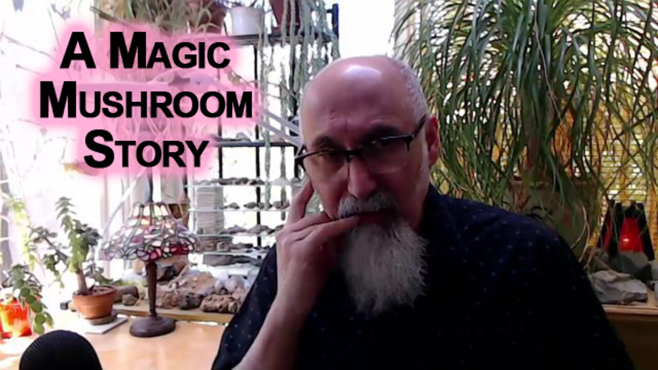 A Magic Mushroom Story [ASMR]