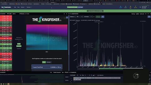 Daily Live Lab for Beginner Traders