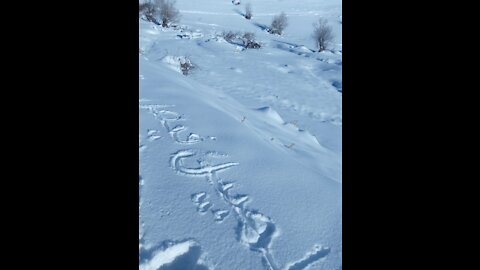 The weather in morocco