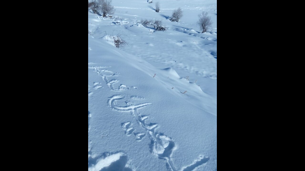 The weather in morocco