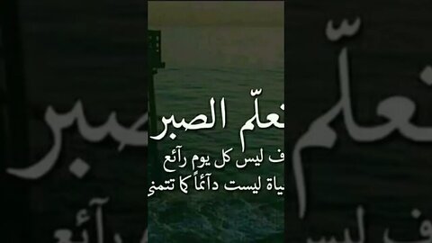 أفضل حكمة