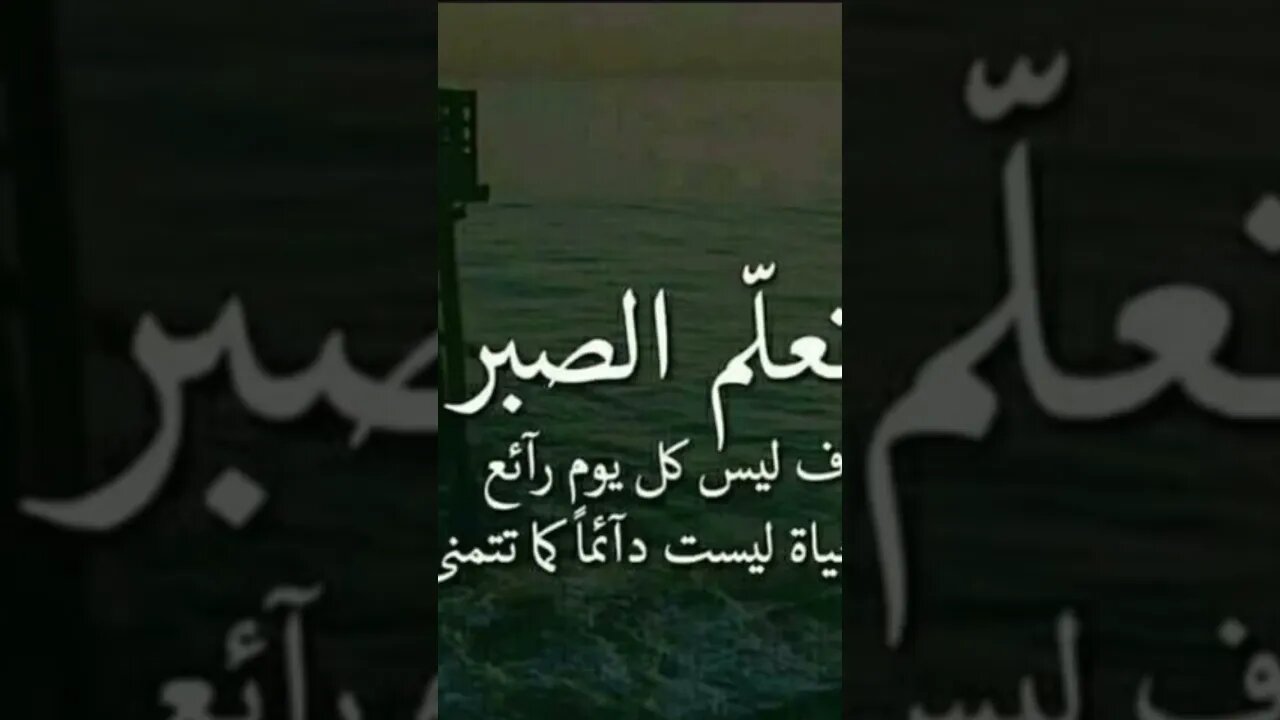 أفضل حكمة