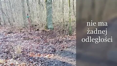 nie ma żadnej odległości