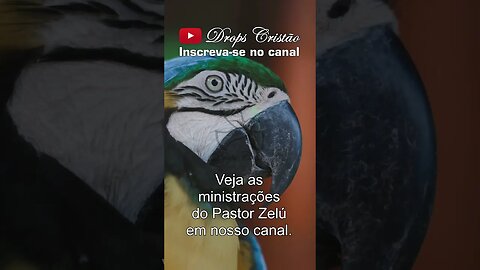 ORAÇÃO FORTE DE QUARTA FEIRA DIA 29/03