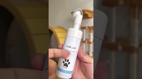 Perfect Paws Cleaning Routines for Cats
