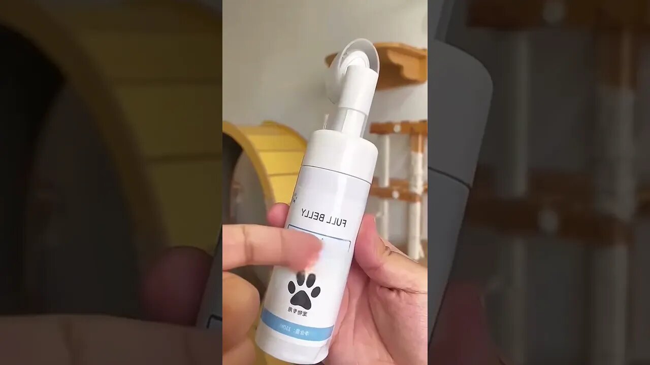 Perfect Paws Cleaning Routines for Cats