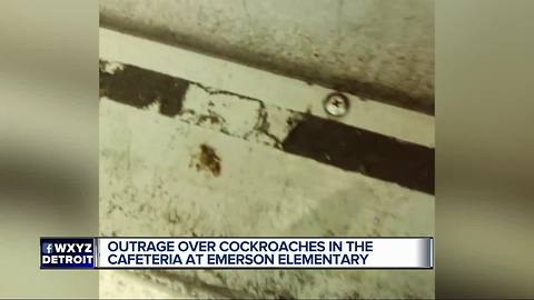 Cockroaches caught crawling thru Detroit Emerson Elementary School cafeteria