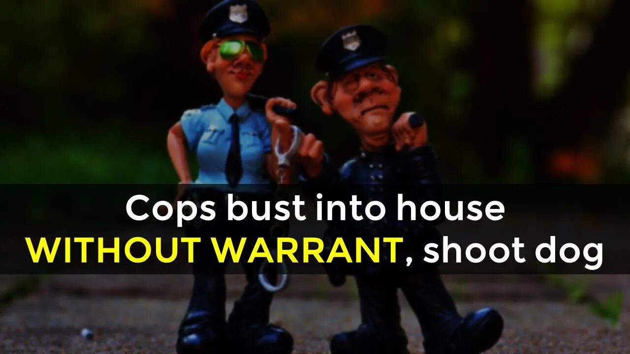 Cops bust into house without warrant; shoot dog