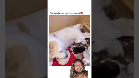 The sneeze at the end 🥰☺️.. #love #cute #funny #family #dog #mother #puppy