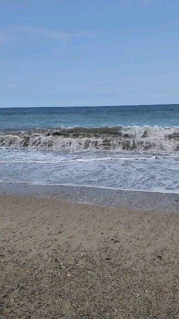 I Could listen to this, and watch this all day!