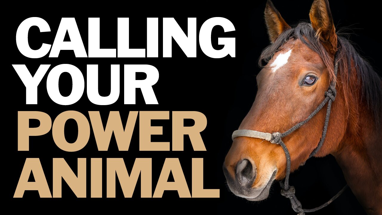 Communicate With Your Power Animal