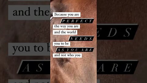 Be Yourself ♥️ #selfcare #selfacceptance #healingjourney #farmlife #horsemanship