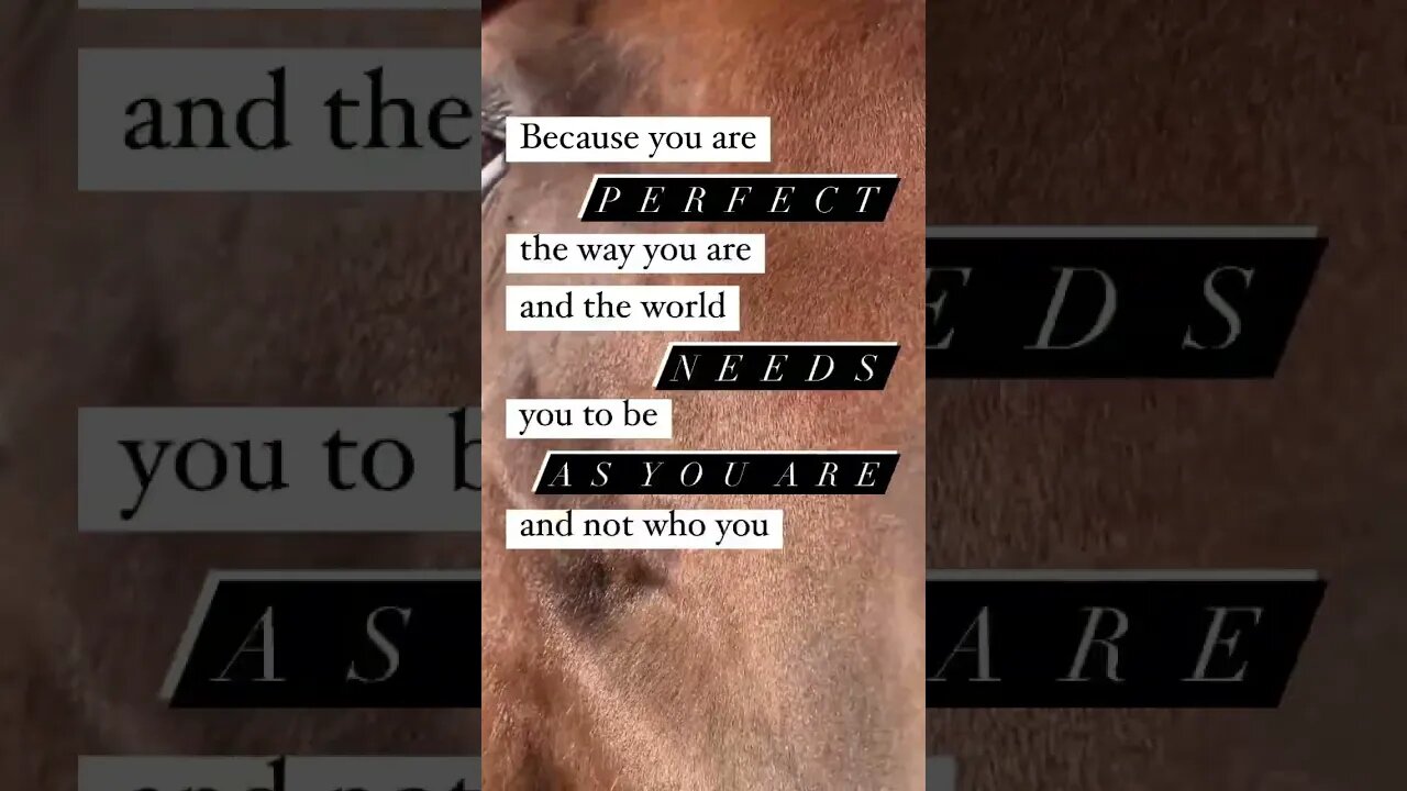 Be Yourself ♥️ #selfcare #selfacceptance #healingjourney #farmlife #horsemanship