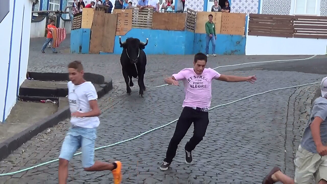 Tourada Ganadarias JG (Pai & Filho) - Ladeira Grande - 26Ago2015 - Ilha Terceira - Açores