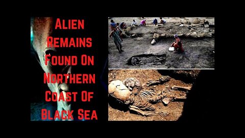 Alien Remains Found, Northern Coast Of Black Sea - UFO, Alien Relics