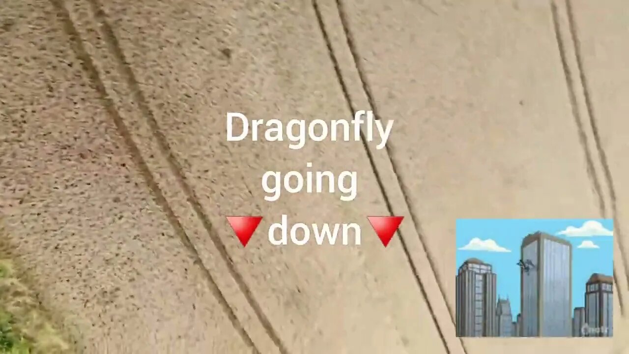 Dragonfly gong down #Trainspotting #dji
