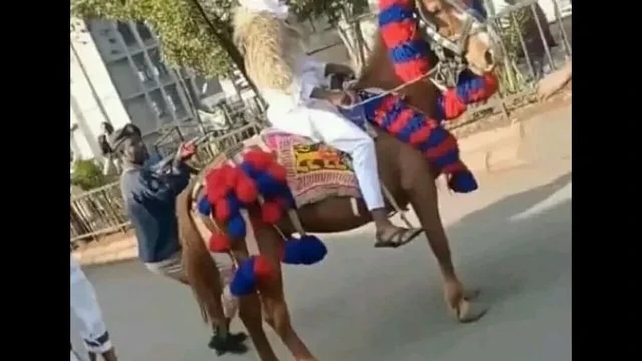 አይ የሰው ልጅ ጫkaኔ እና ጣlaቻ