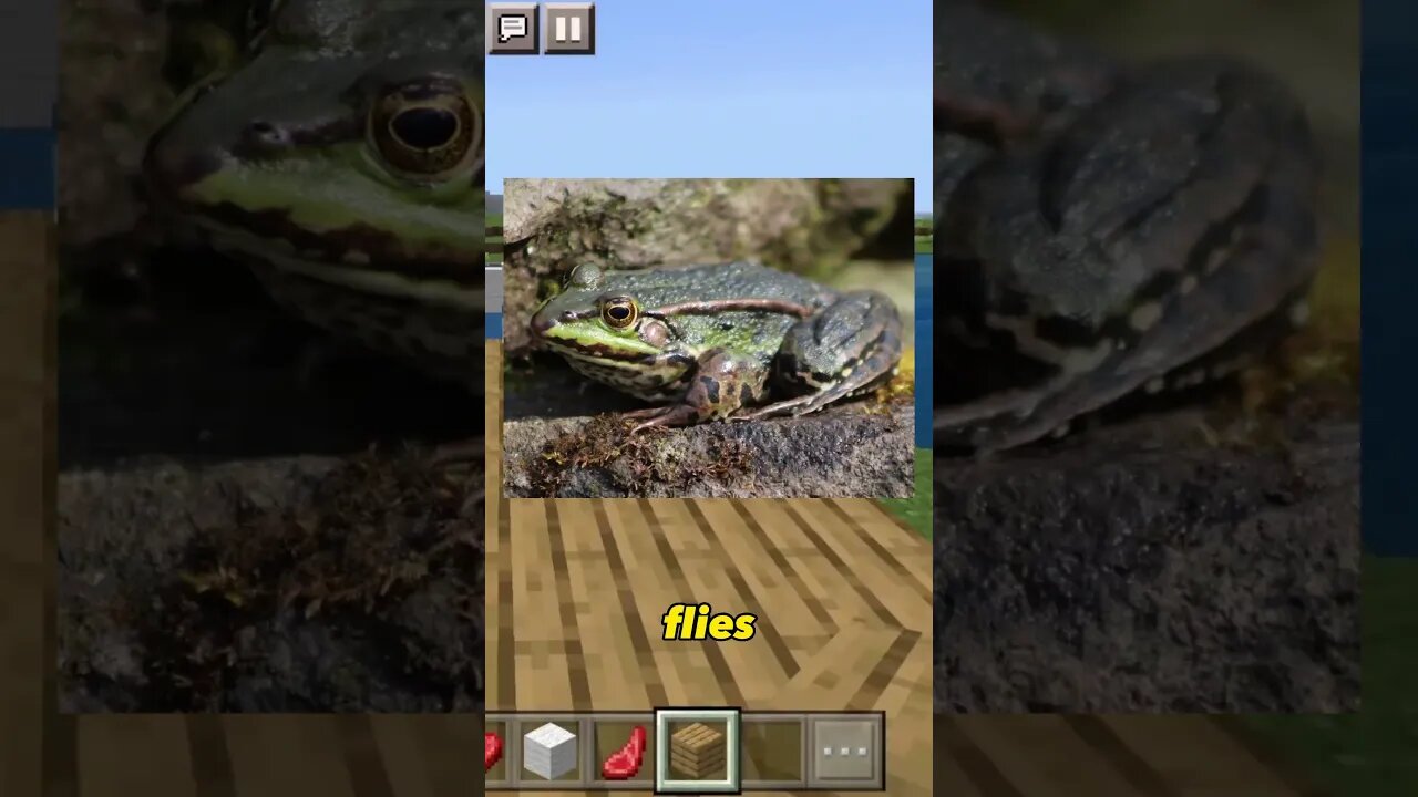 Frogs Spit out Flies instead