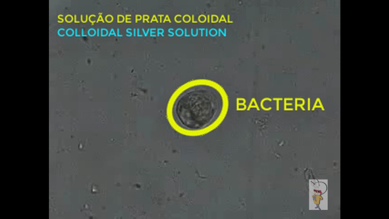 Bacteria versus Prata Coloidal (Bacteria versus Colloidal Silver)