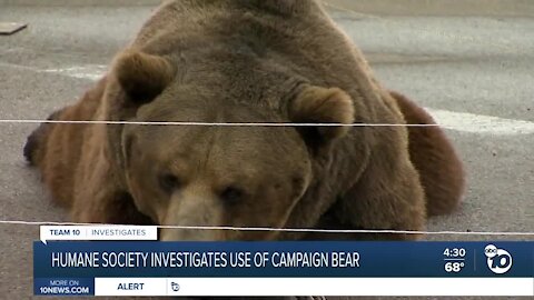 Investigation into John Cox's use of bear during campaign stop