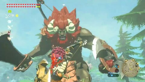 Terminate All Lynels Fast Redux