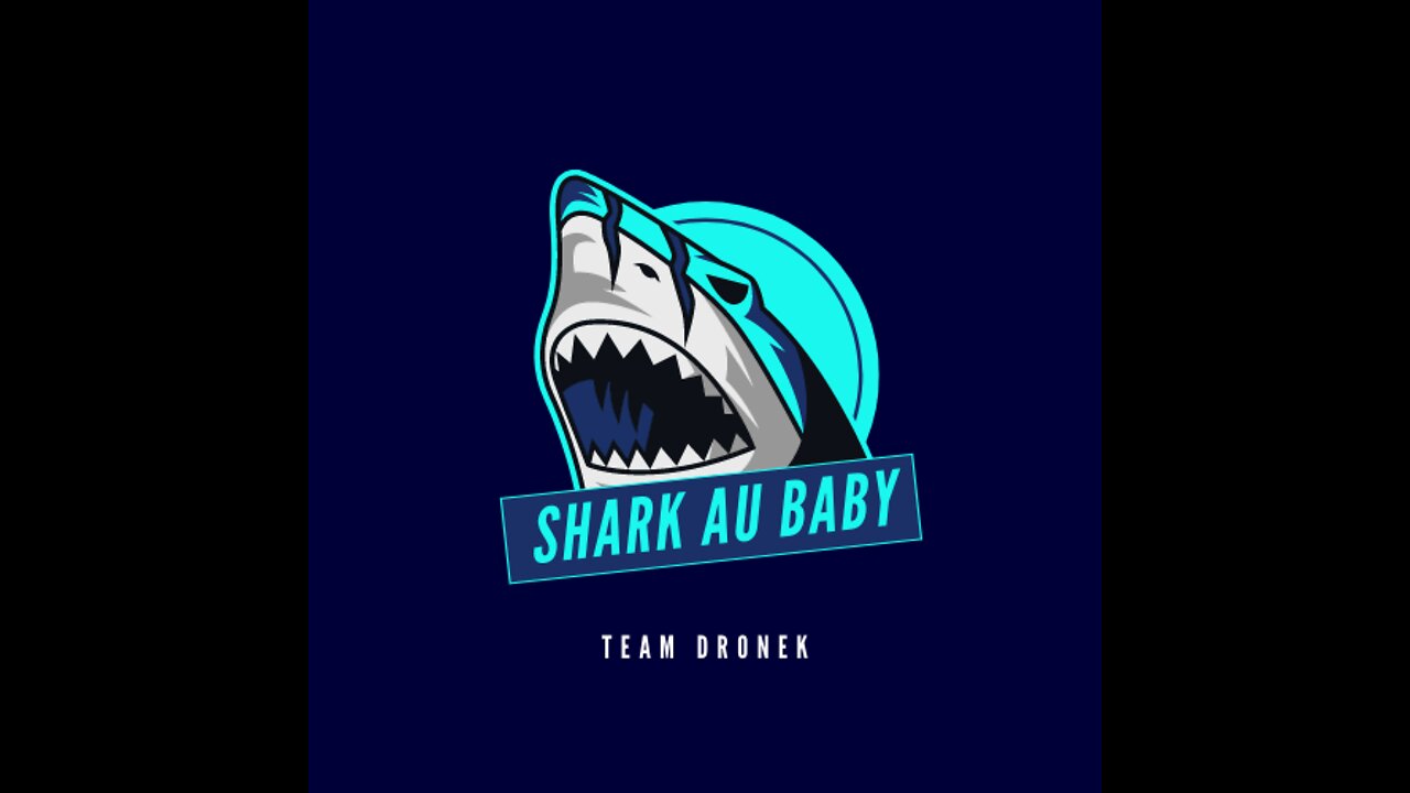 BabySharkDance Remix