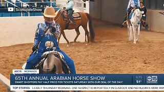 Deal of the Day: Half off admission to the Scottsdale Arabian Horse Show!