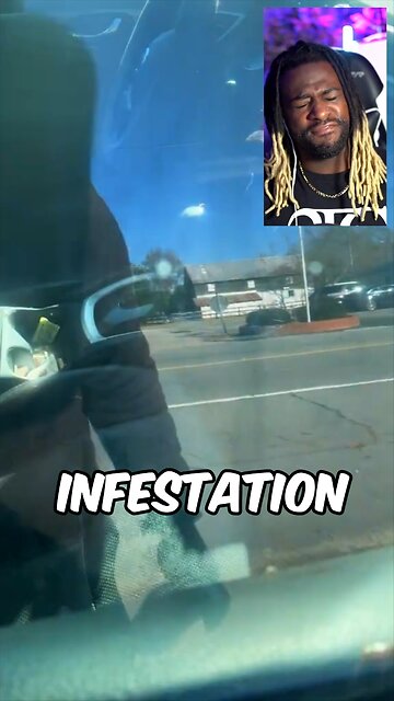 Roach Infestation In Car