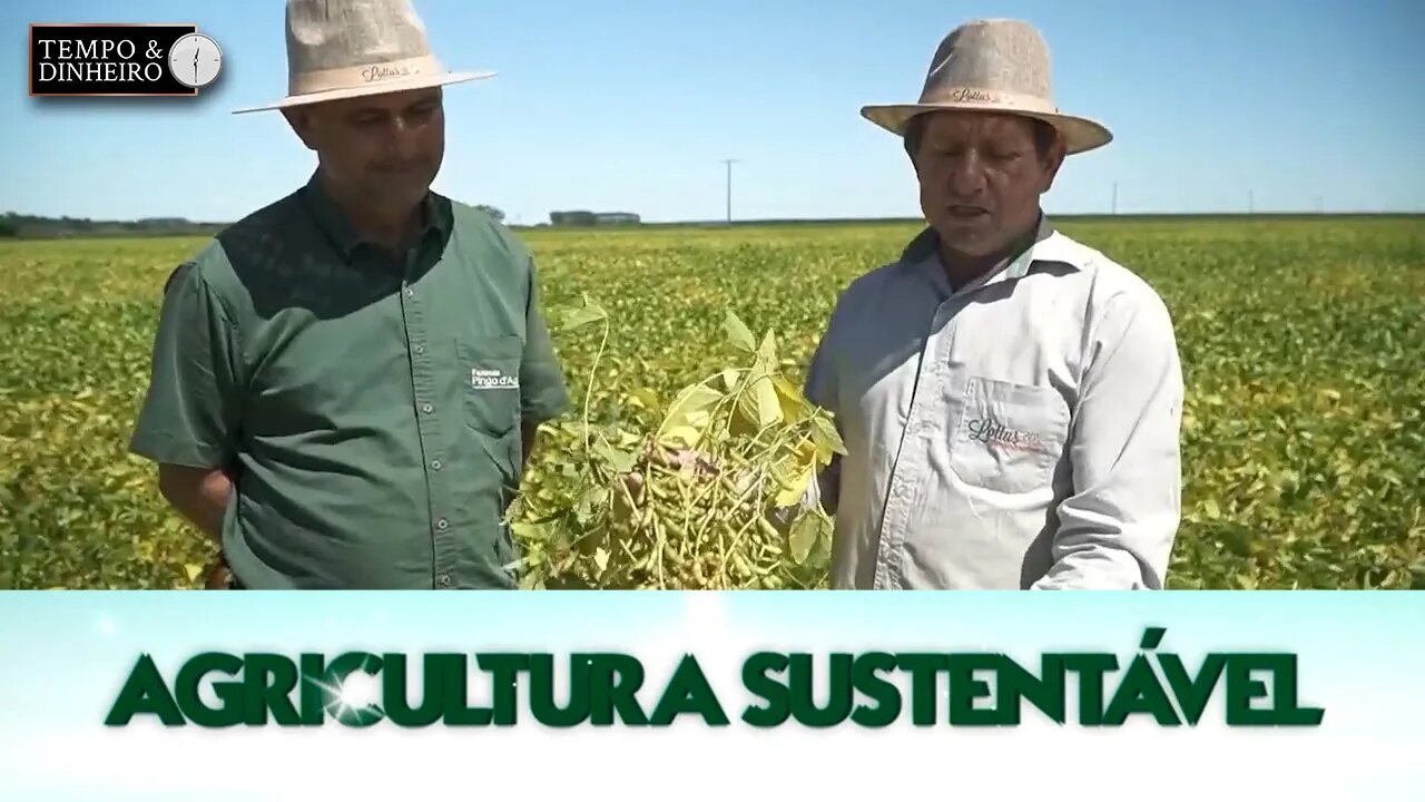 Agricultura Sustentável - com Frederico Olivi