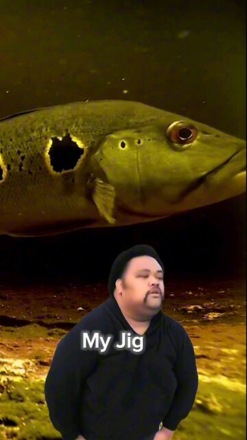 They Work I Promise!!🤣