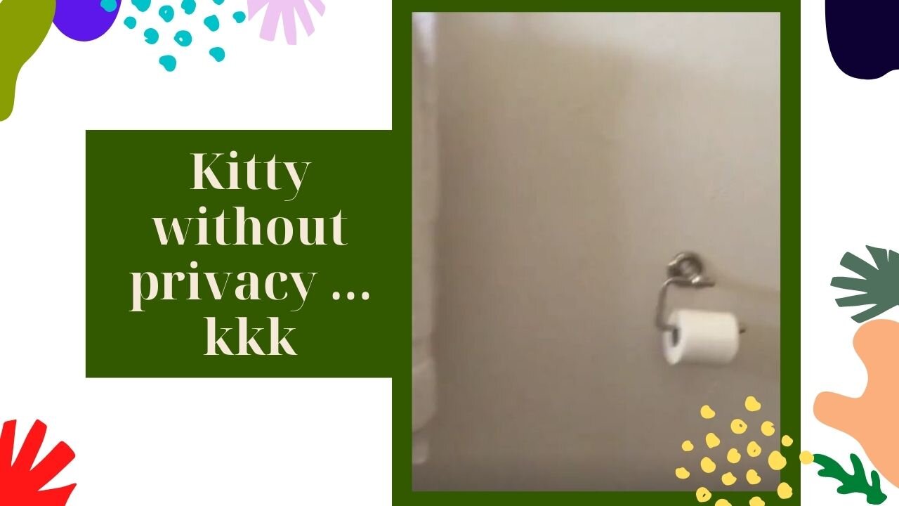 kitty without privacy!