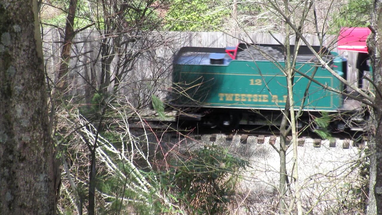 Tweetsie Railroad No.12 Rolling Through The Woods By Itself