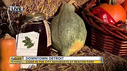 Dumpling Squash: Cider in the City Saturdays at Beacon Park in downtown Detroit