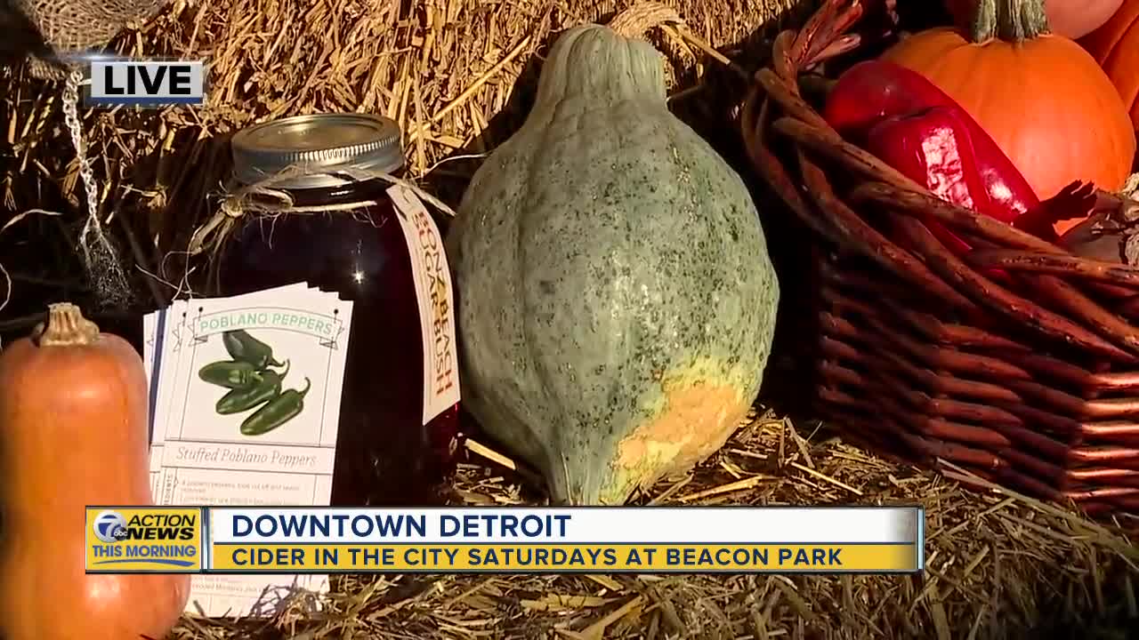 Dumpling Squash: Cider in the City Saturdays at Beacon Park in downtown Detroit