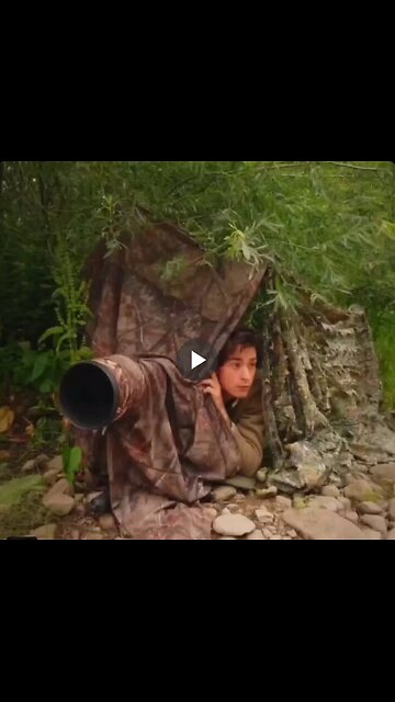 Some great images captured by wildlife photographer Gamander López.