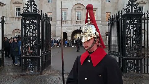 Random pose nipy horse met police horse and armed police changing of the Guards #horseguardsparade