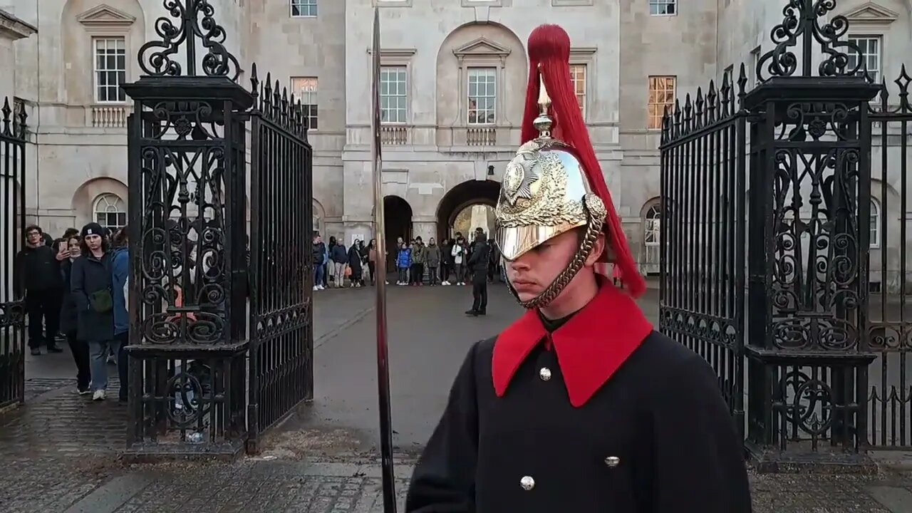 Random pose nipy horse met police horse and armed police changing of the Guards #horseguardsparade