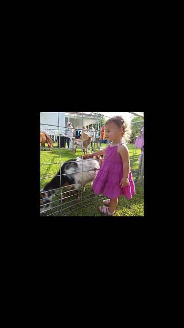 Happy Easter #shorts || SpeedysLittleWorld