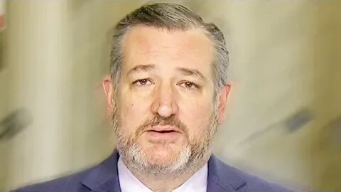 Ted Cruz DESTROYED Her