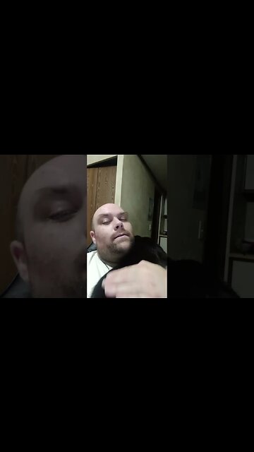 kitty cuddling owner #kittycat #shortsvideo #shortsfeed #kitty #cat #youtubeshorts #blackcat