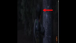 me back when i was 15 playing a history channle at 3am game lol