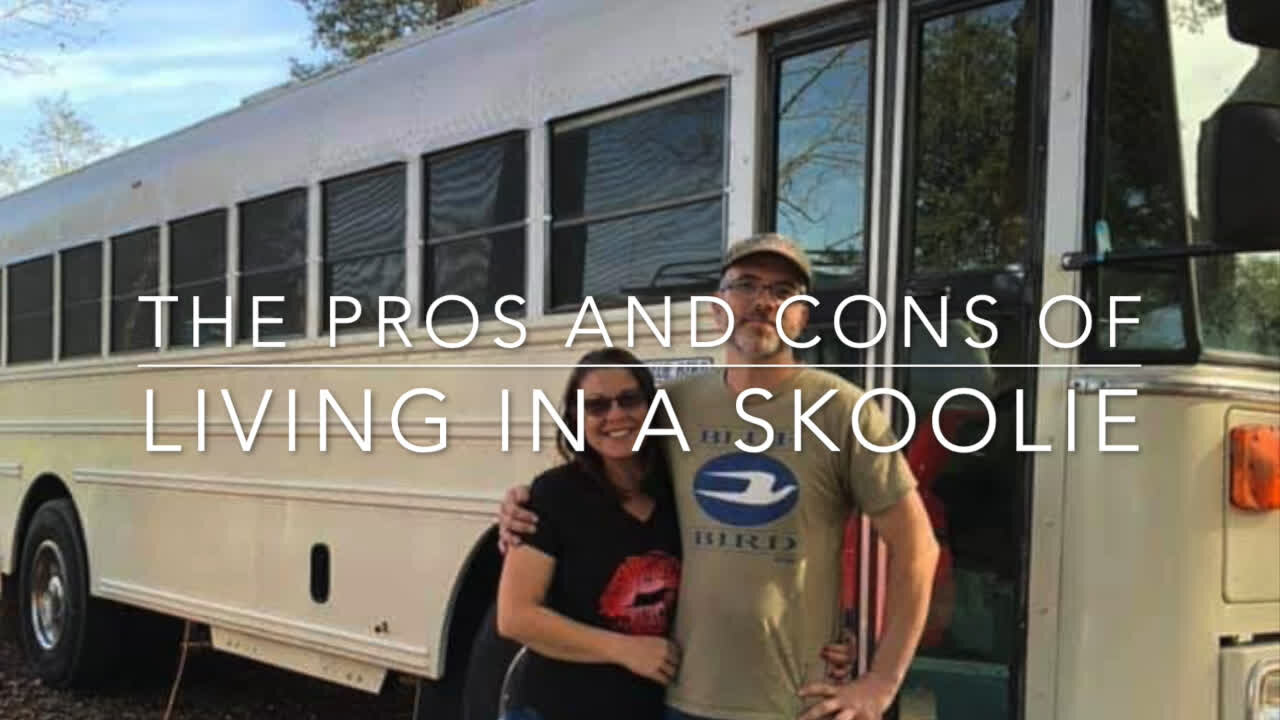 The Pros and Cons of Living in a Skoolie - My reaction for people thinking about a bus conversion